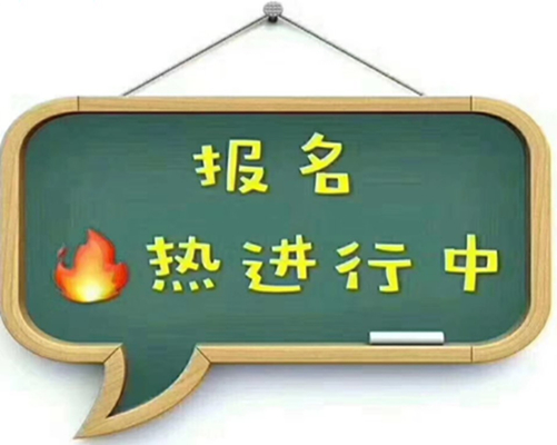 今晚必出的生肖