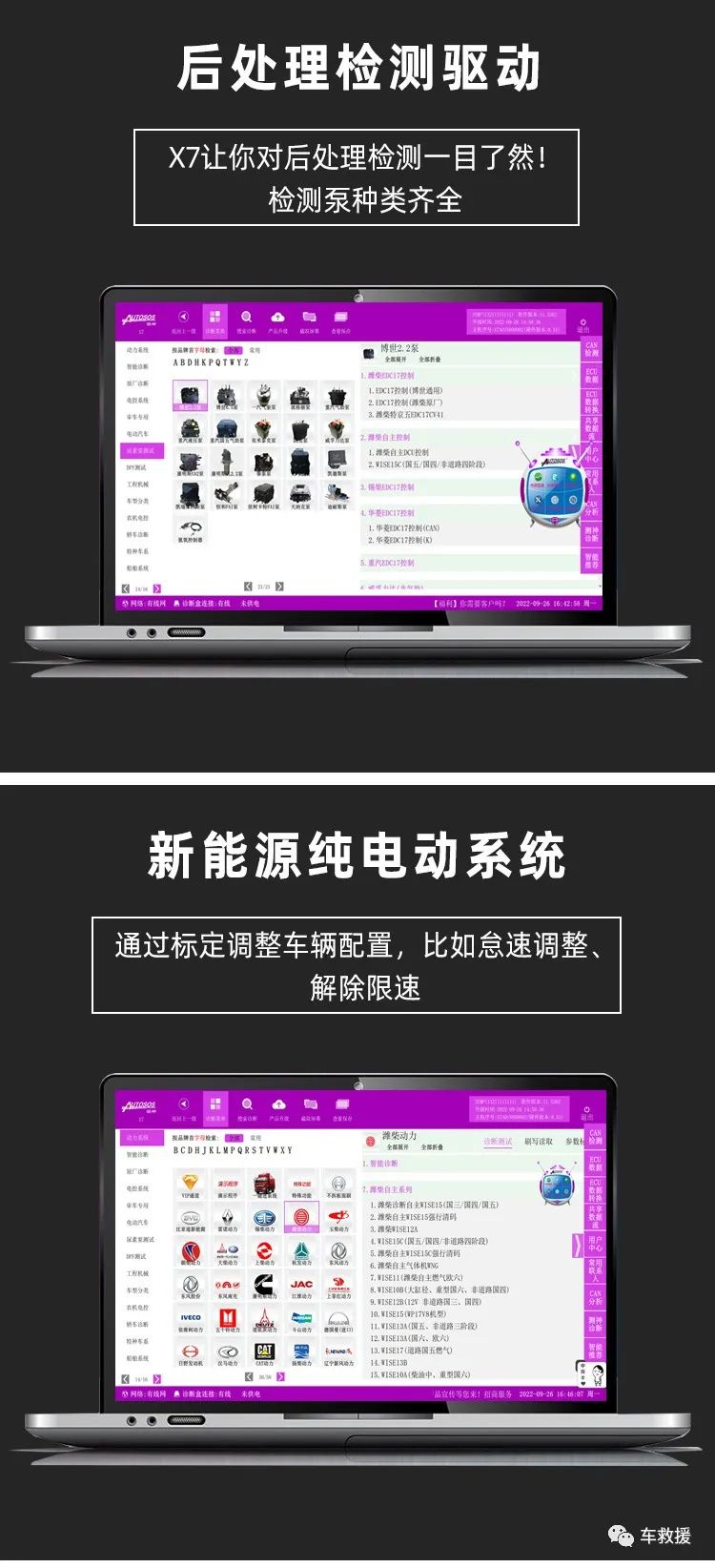 今晚必出的生肖
