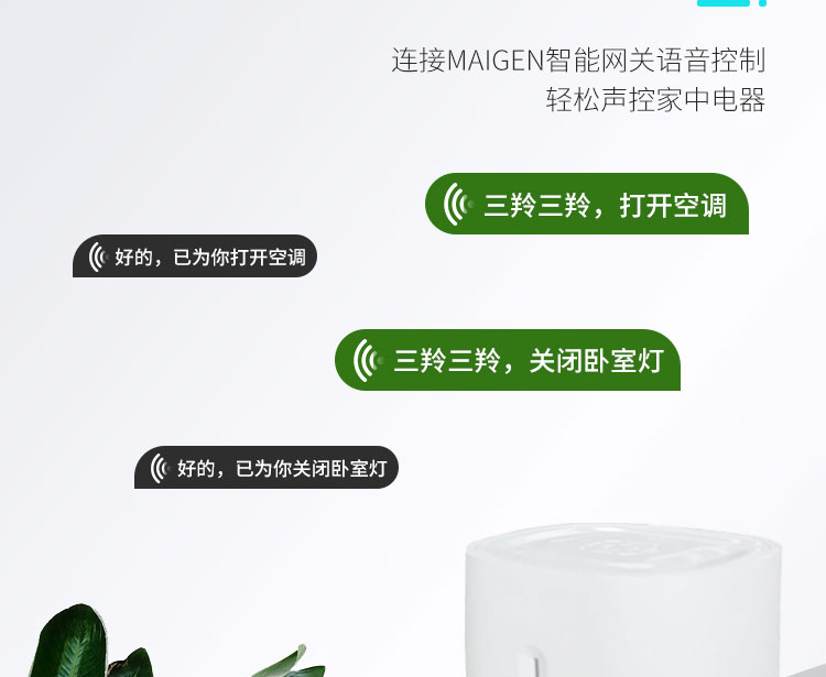 今晚必出的生肖