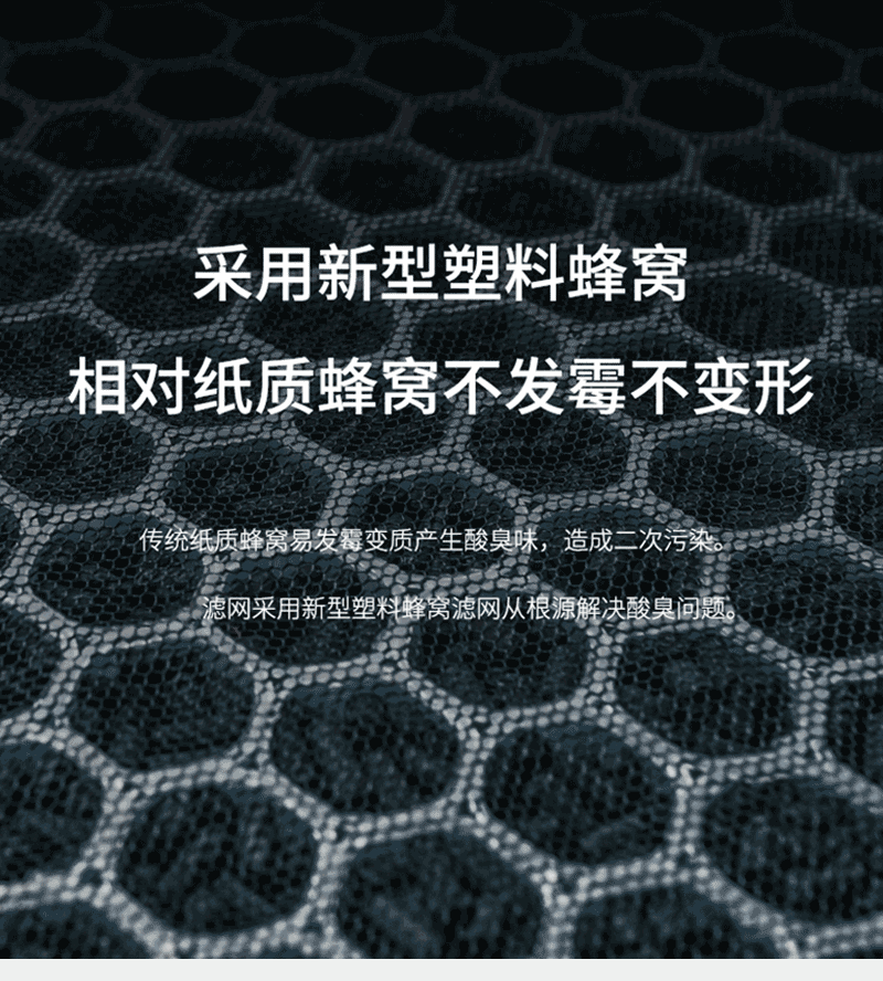 今晚必出的生肖